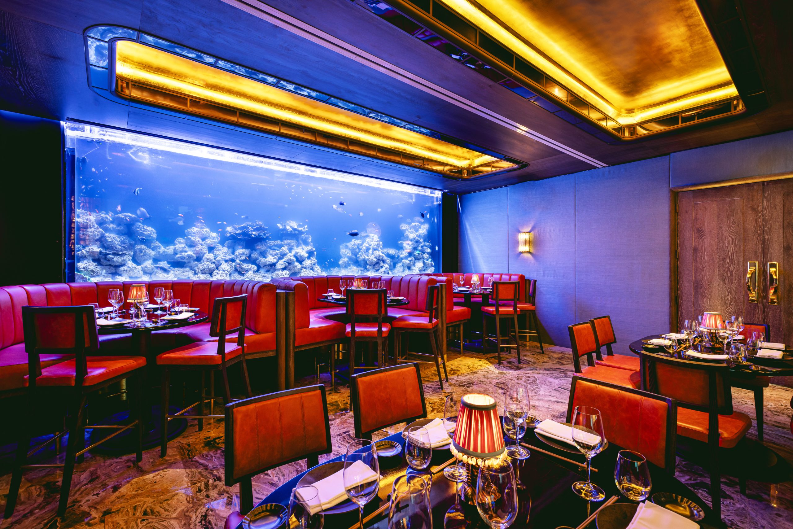 The Tropical Reef Room