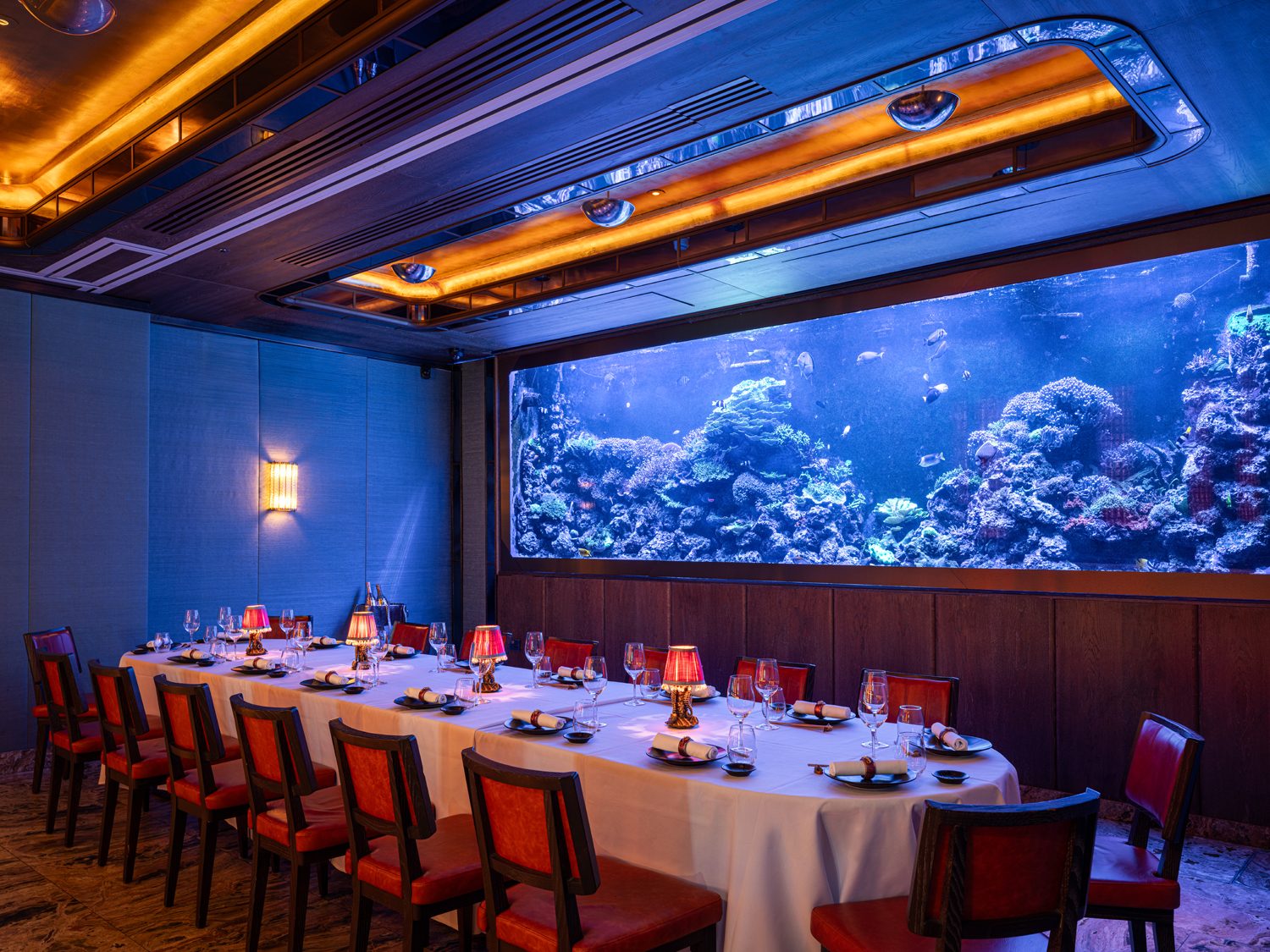 The Tropical Reef Room